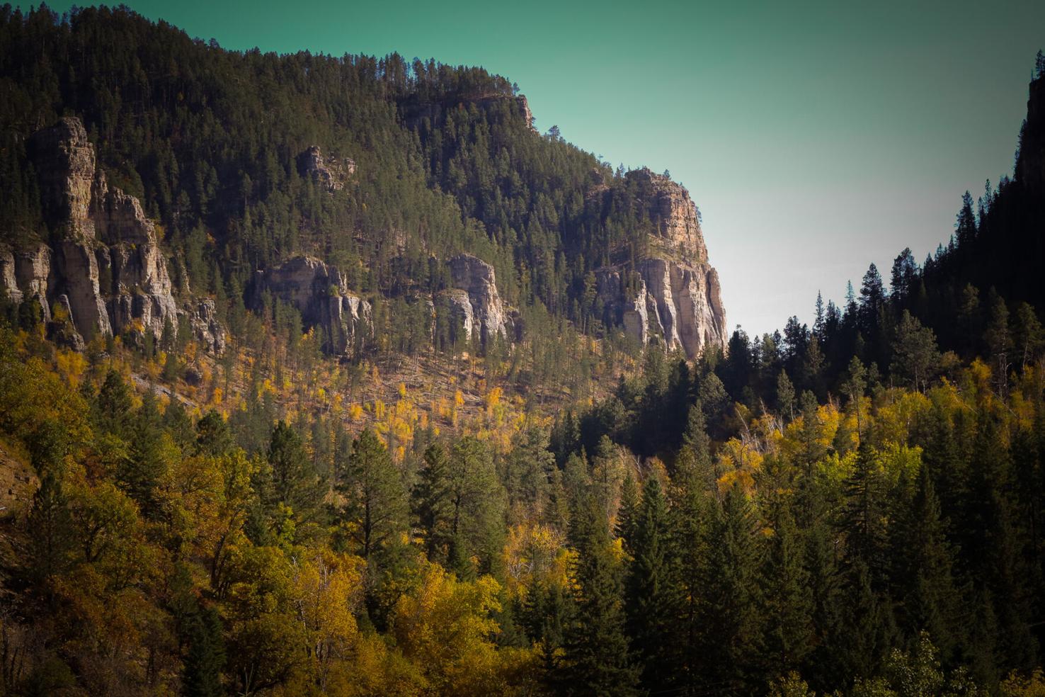 PHOTOS Fall colors peak in Spearfish Canyon