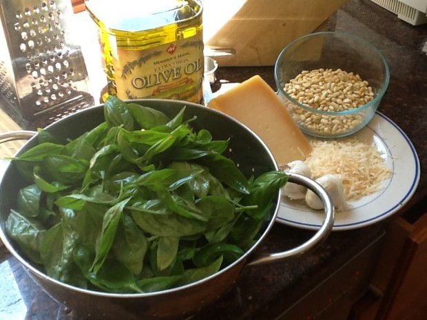 Pesto makings