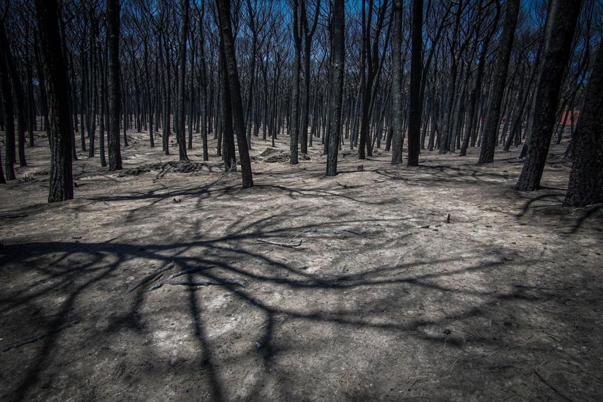 APTOPIX Italy Wildfires