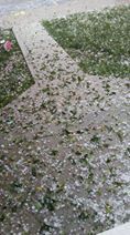 081517-nws-storm014.JPG