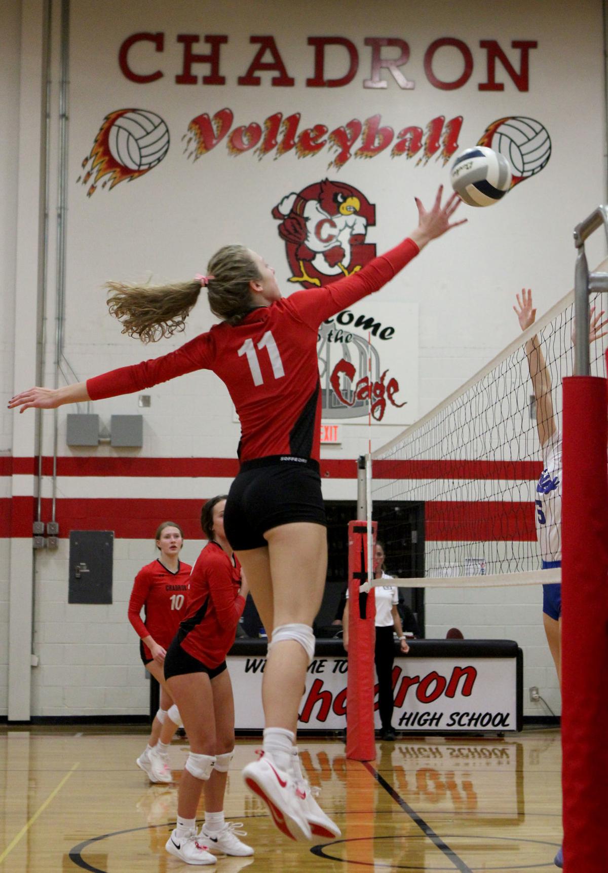 Cardinals Win Volleyball Conference Tournament Sports