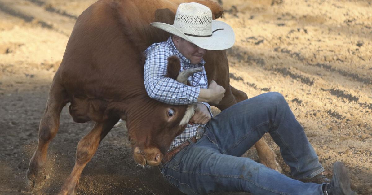 Monday Rodeo Black Hills Roundup Rodeo's Monday slack produces two lead changes