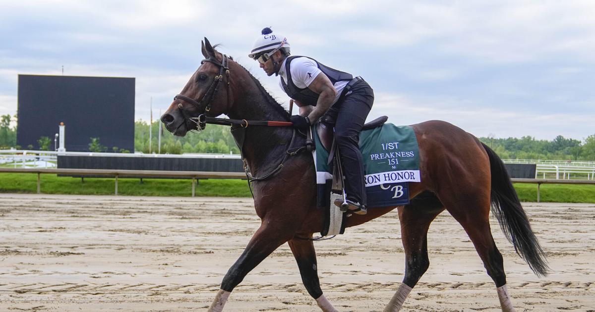 HORSERACING/
