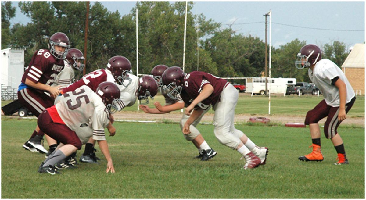 Newell football team has increase in numbers for 2016 Newell