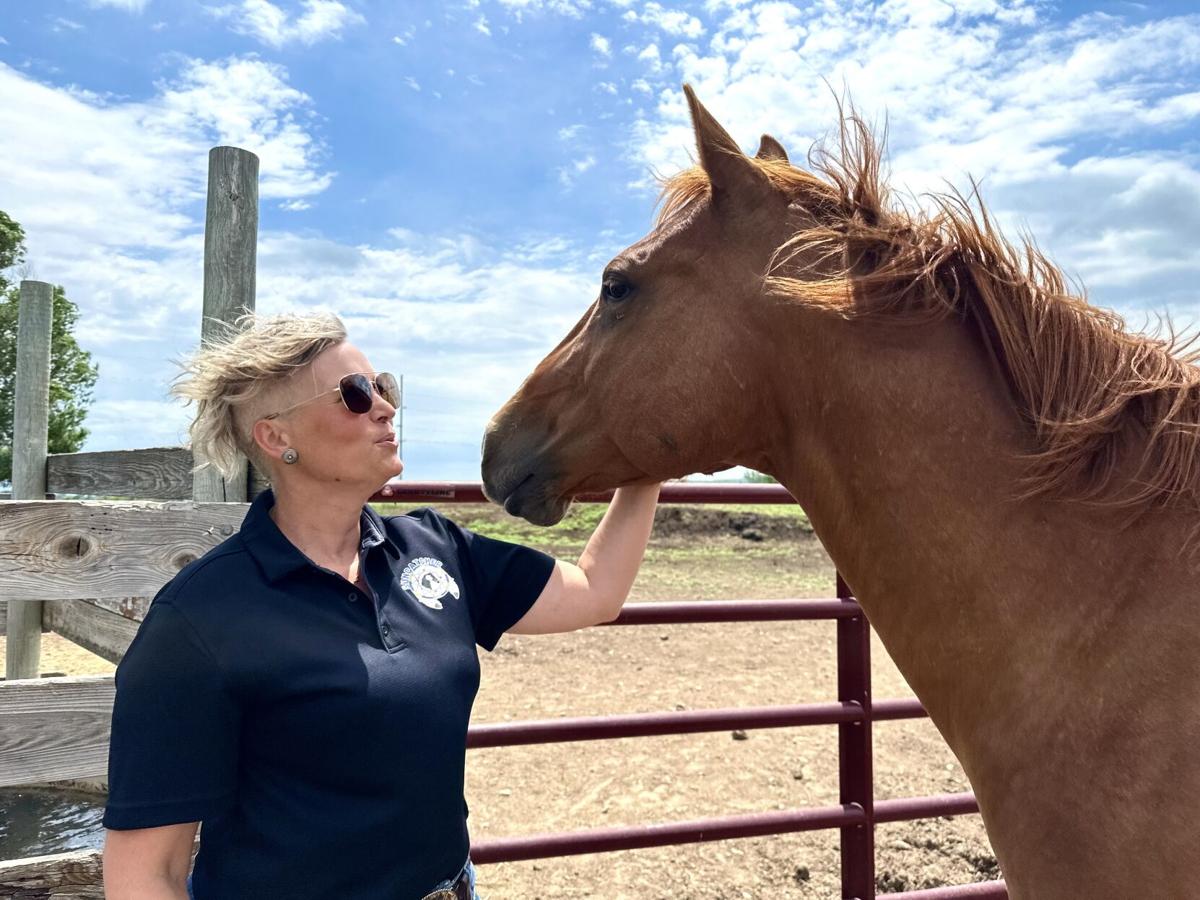 SunCatcher empowers through equineassisted therapy
