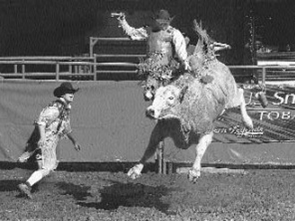 Cowboys Take On Extreme Bulls Sports Rapidcityjournal Com