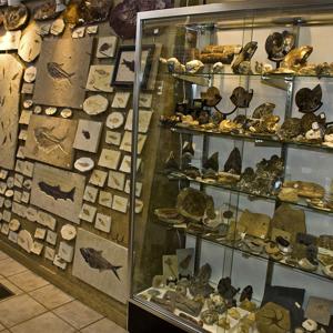 EP-Store_March2012_04.JPG