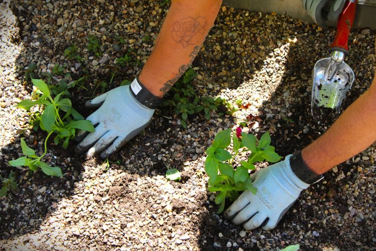 Pennington County Jail gardening 6