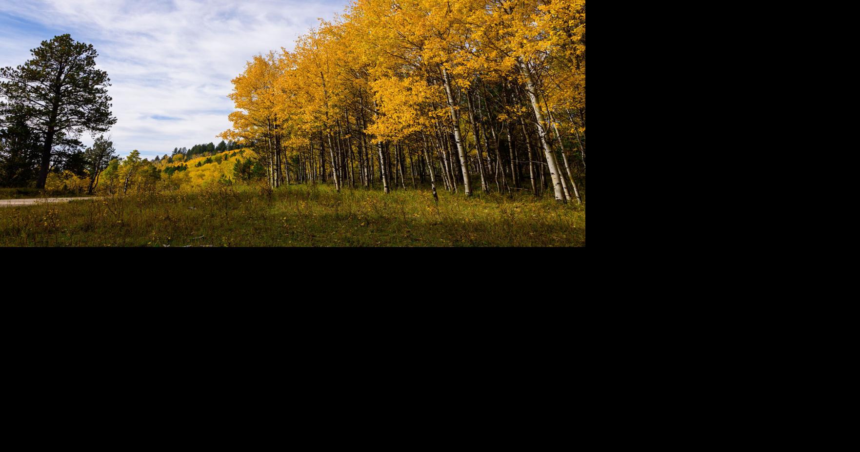 The secret season of the Black Hills
