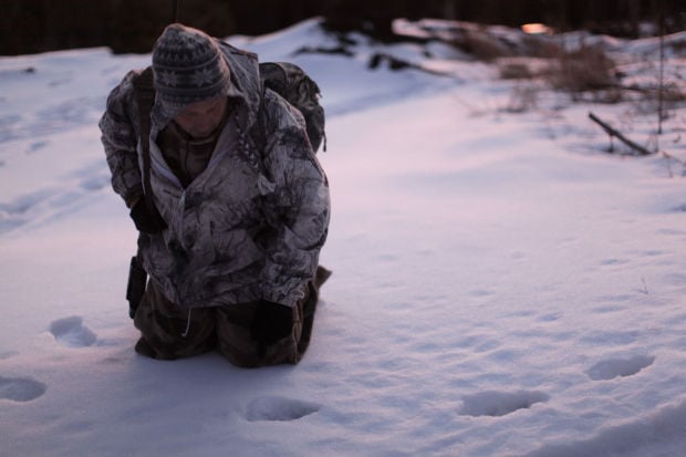 Mountain lion season ends after four cats are bagged