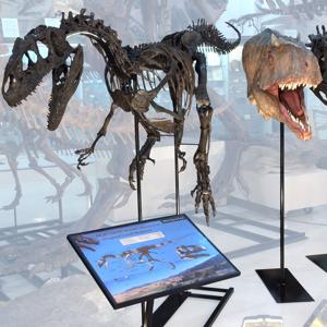 AL-JUNIOR_Museum@BHI_012-21_HDRc.JPG