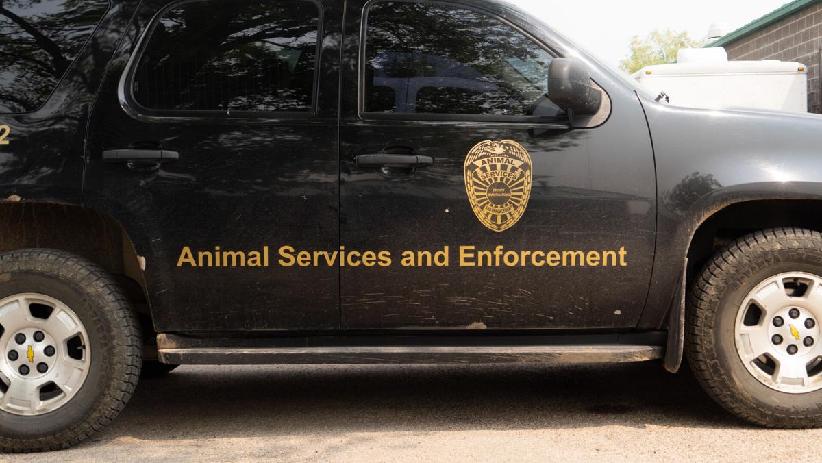 Rapid City Animal Services and Enforcement