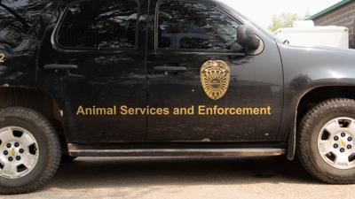 Rapid City Animal Services and Enforcement