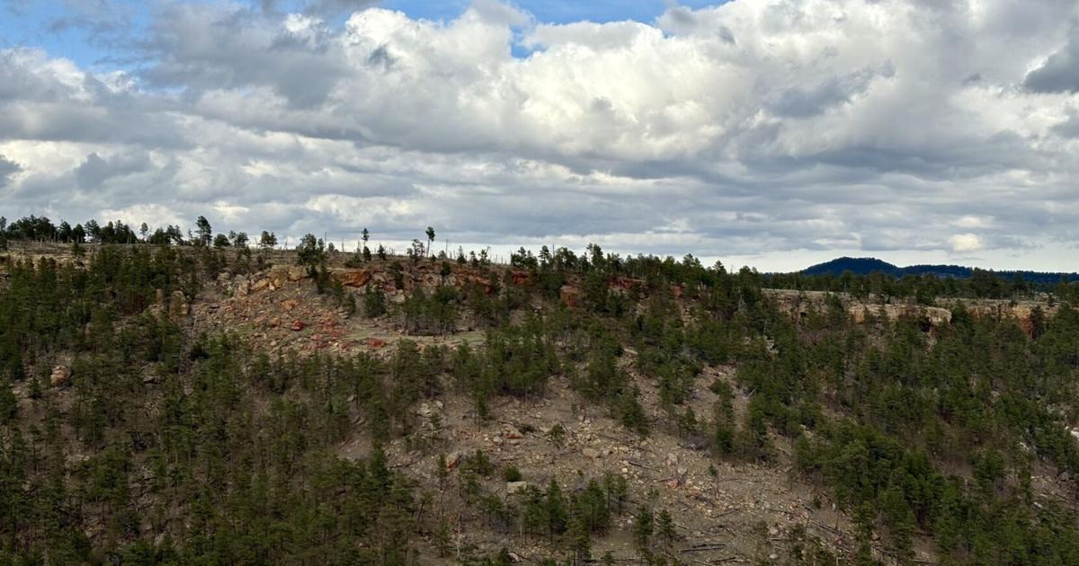 Southern Black Hills mining project opponent files federal lawsuit, hearing paused