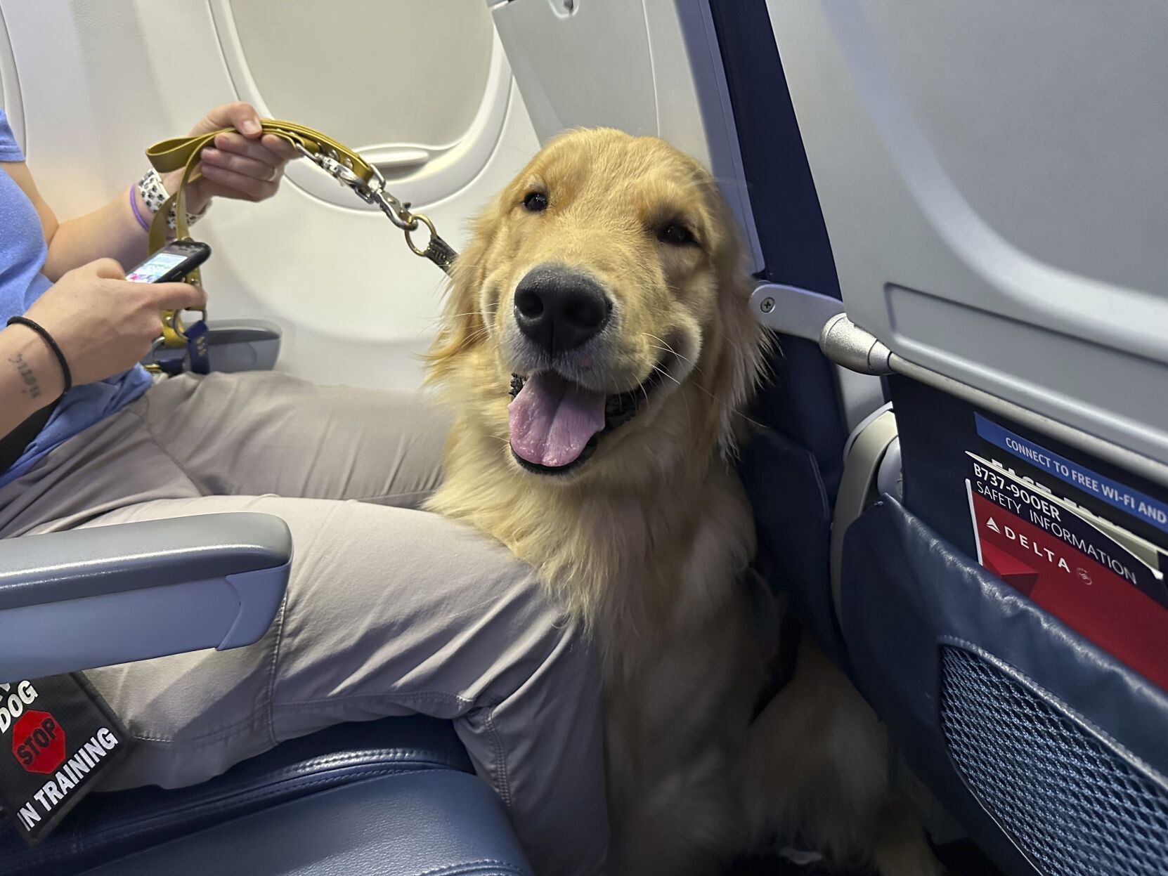 Assistance dogs earn wings at Detroit Metropolitan Airport