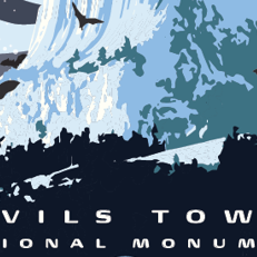 Devils Tower to host Bat Festival - Vimarsana News