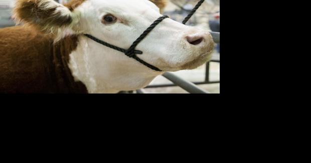 South Dakota Farmers Union Launches 2024 Photo Contest: Celebrating Life on the Family Farm & Ranch - Vimarsana News