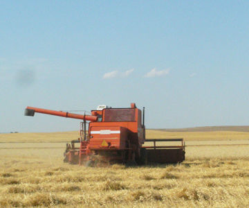 Agriculture