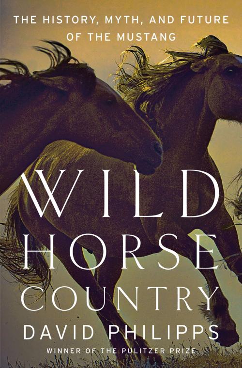 Cover, "Wild Horse Country"