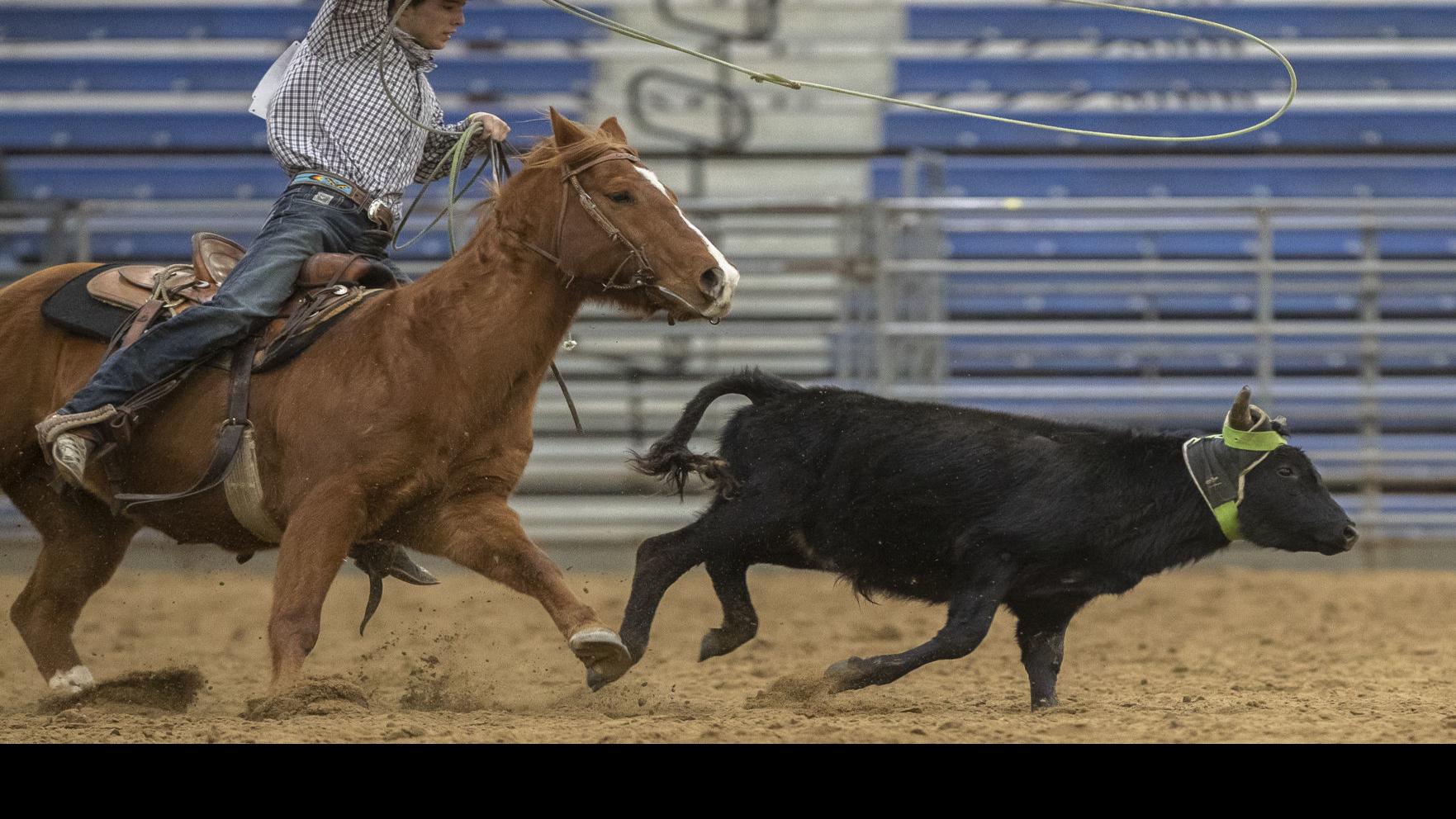 New Horse Hotel Planned At Fairgrounds Local