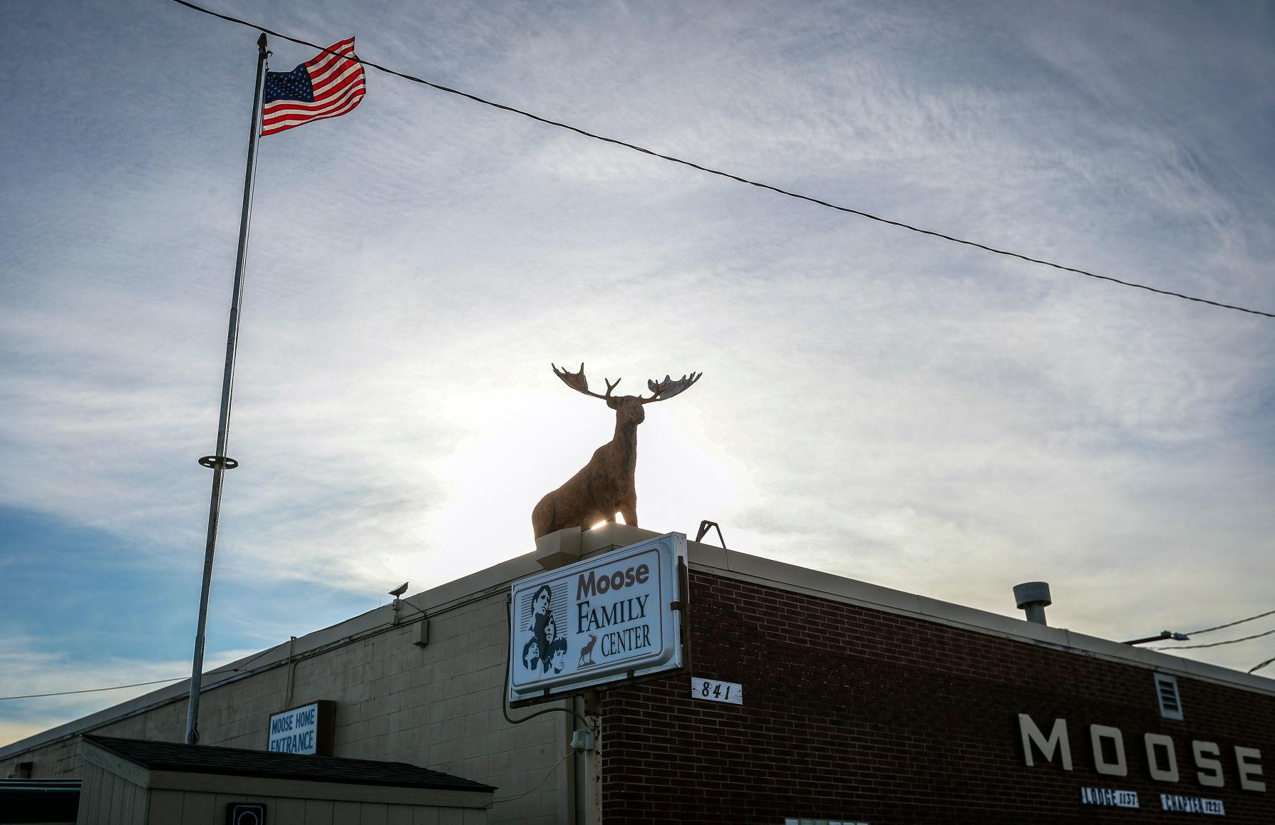 Cheers to 100 years: Moose Lodge celebrates milestone