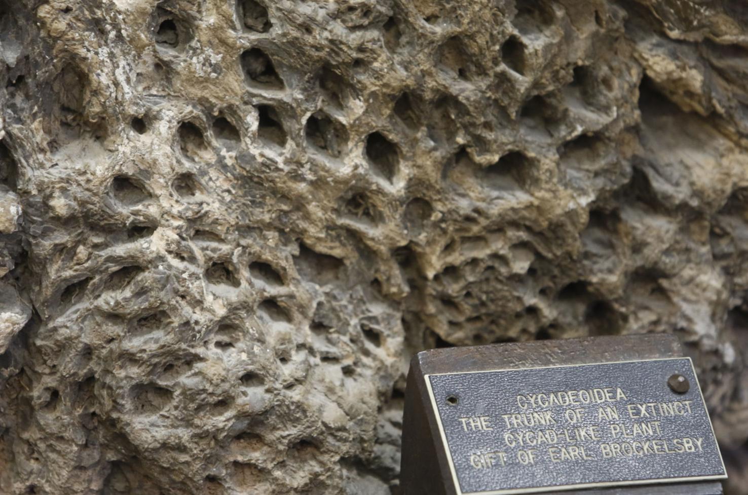 SD's forgotten national monument: A cautionary tale for the Park