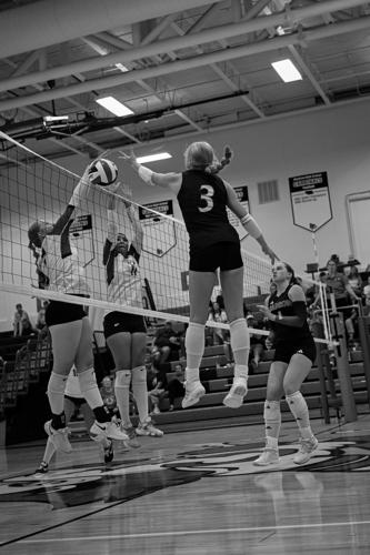 Cards vs. Hot Springs.jpg
