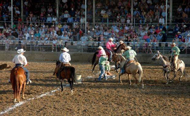 Ranch Rodeo opens rodeo style Roundup events