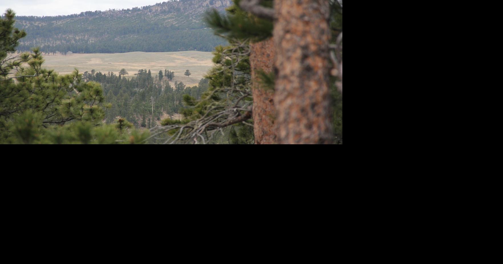 'Our church is the land': A look inside the camp occupying drill sites in the Black Hills