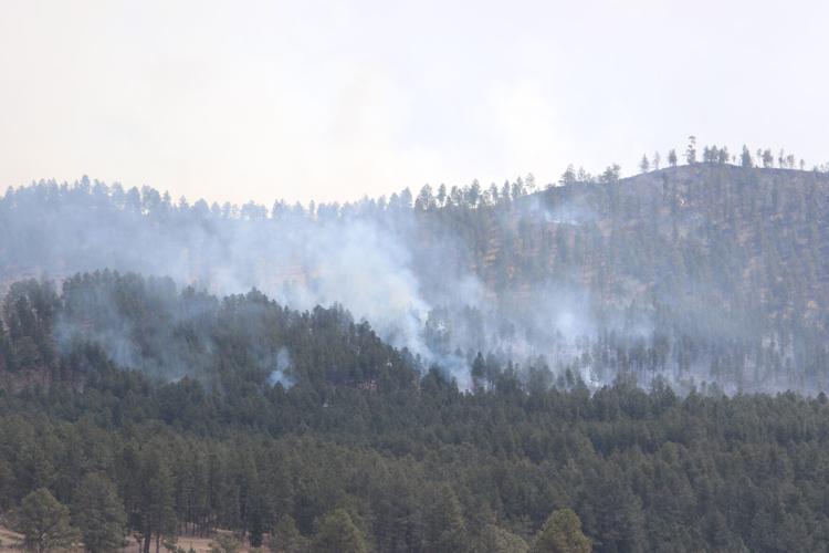 Custer fire