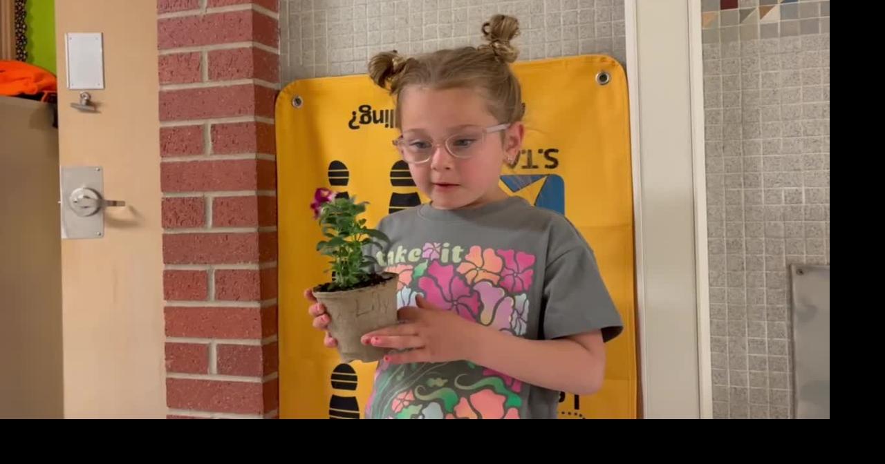 Grandview flower planting - Lily