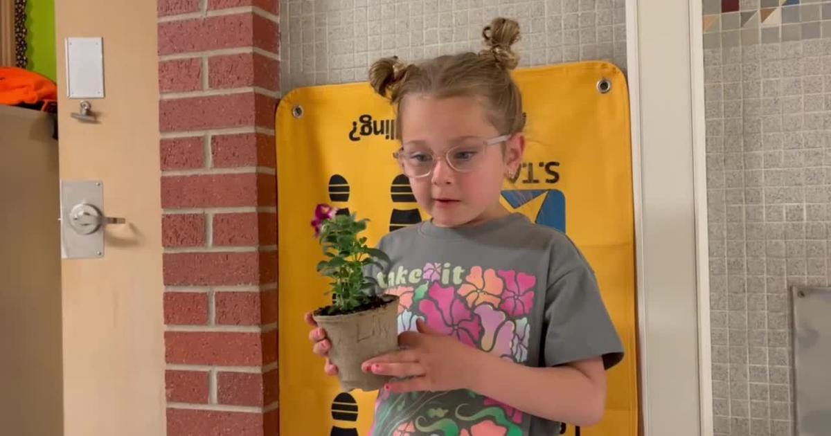 Grandview flower planting - Lily