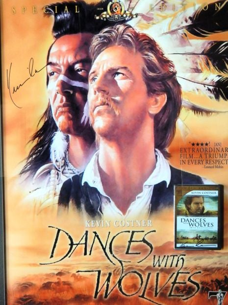 dances with wolves summary