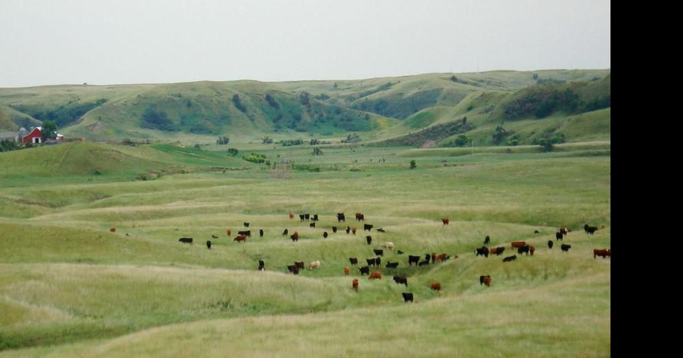USDA, tribes partner to conserve grasslands