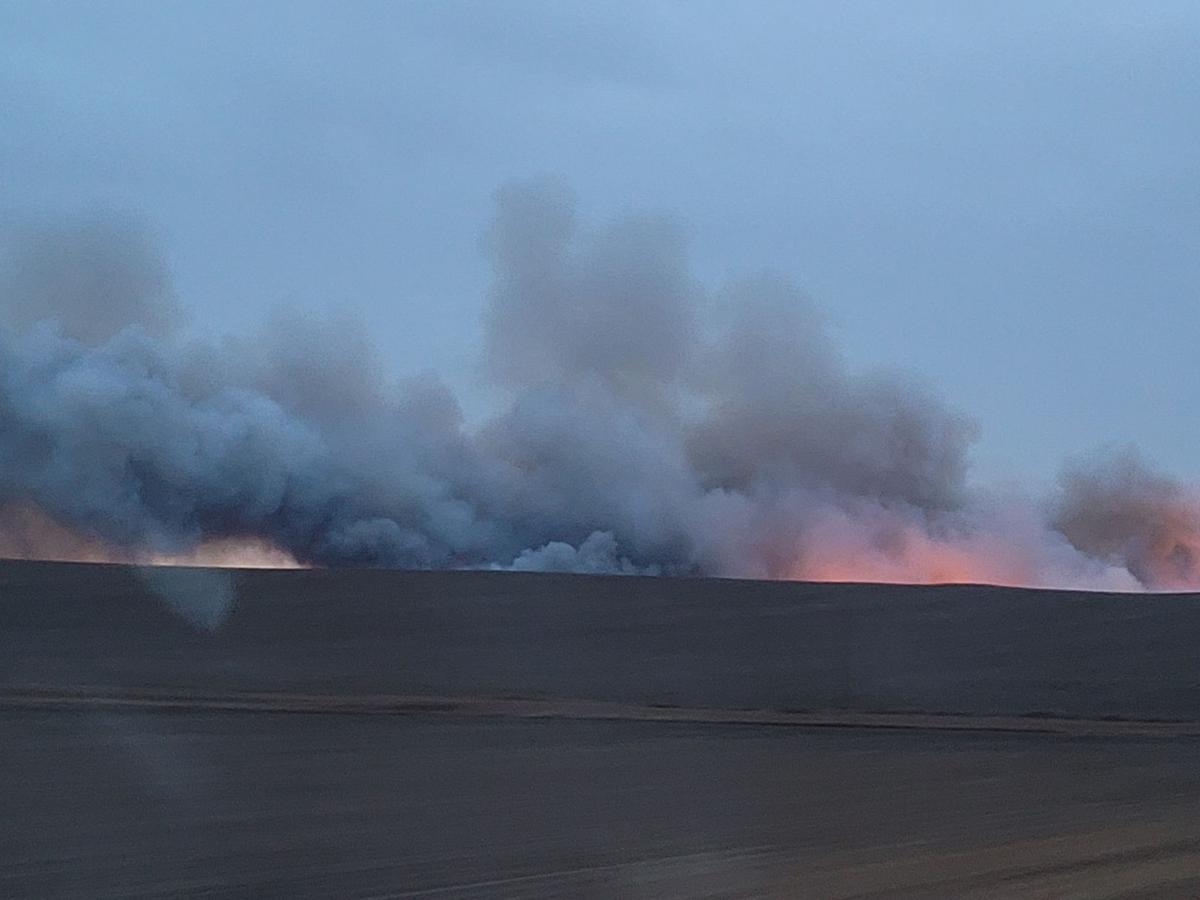 Lemmon fire