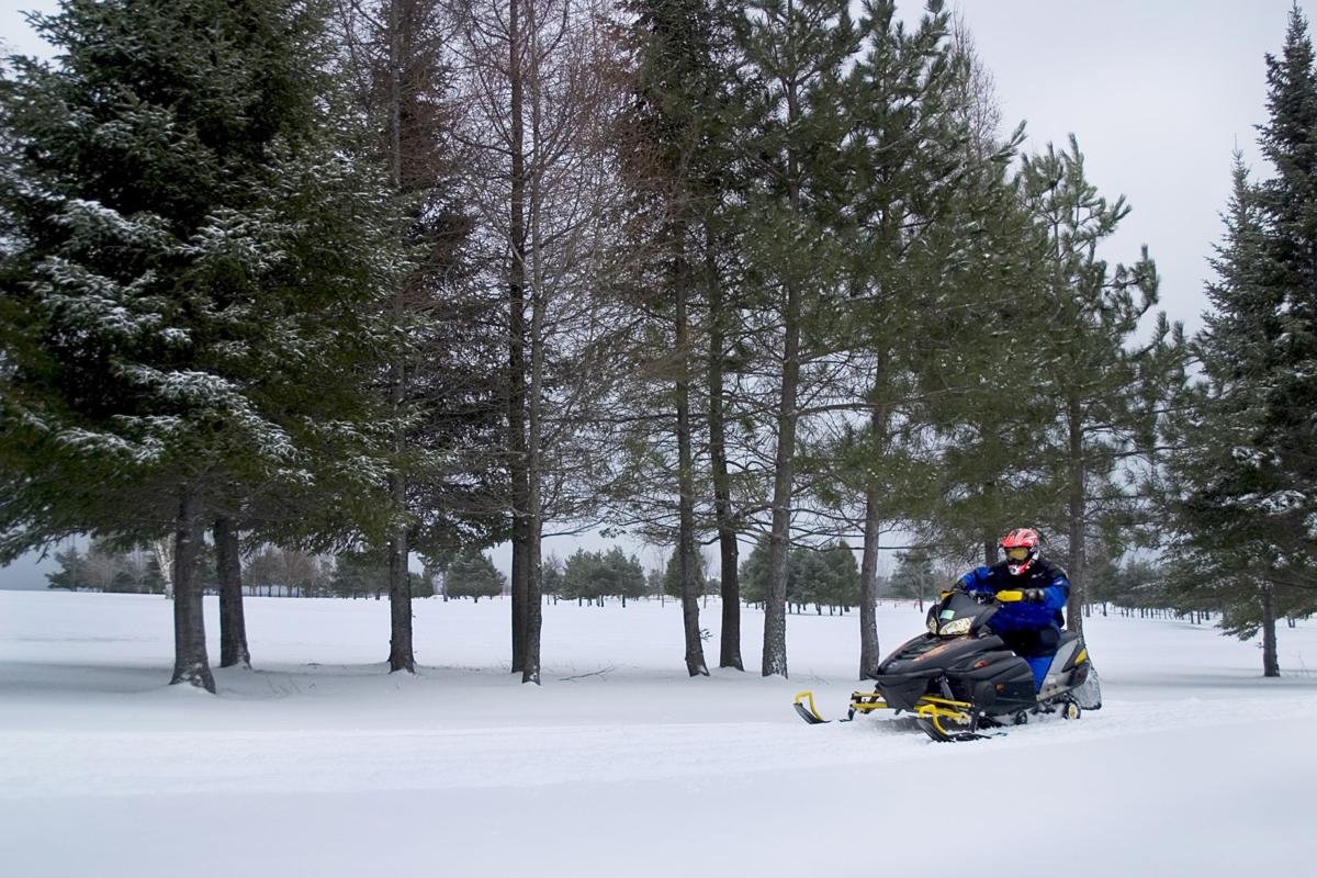 Fire Damage Won T Hamper Custer State Park Winter Trail Activities