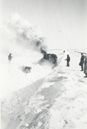 RR20.jpg