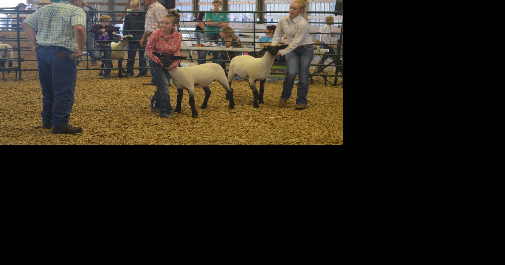 Meade County fair, 4H events being held virtually