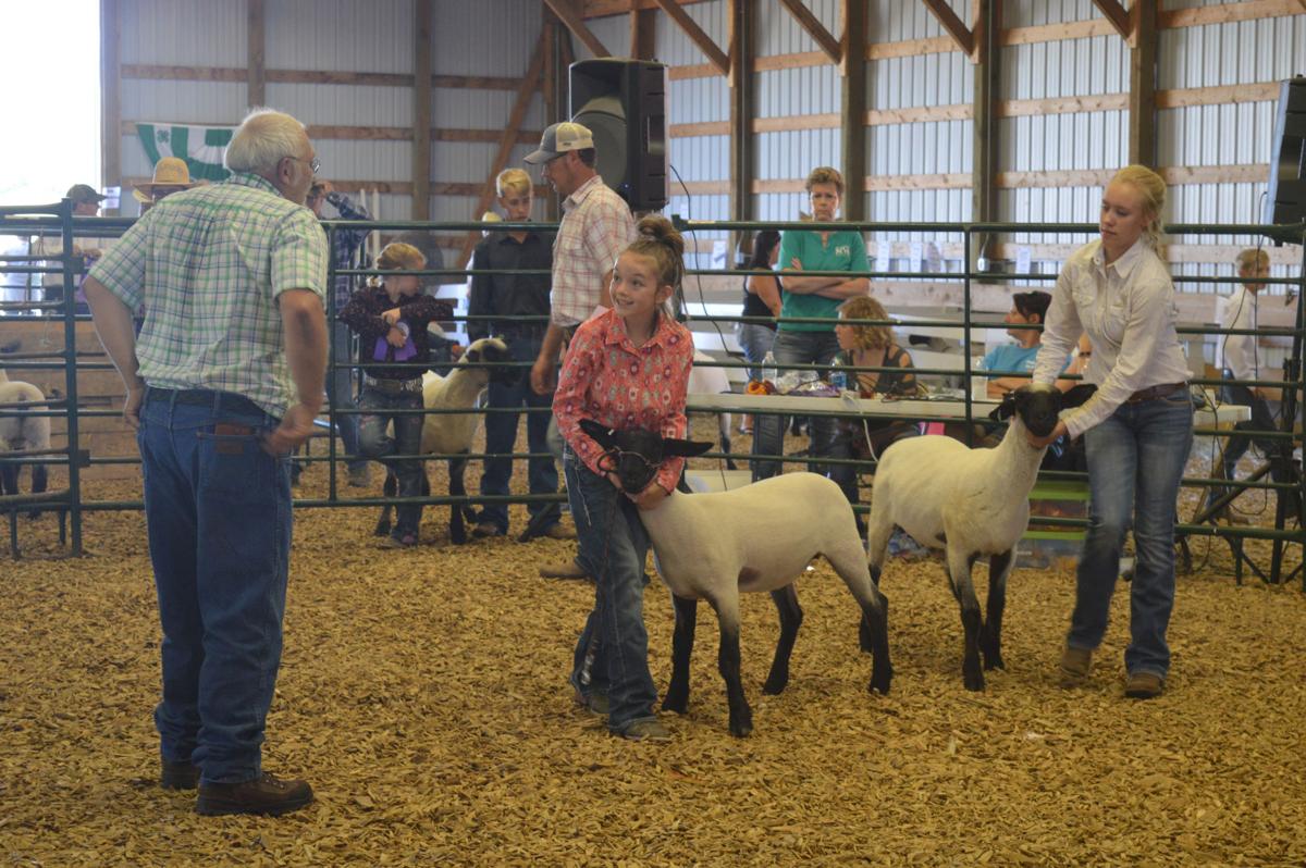 Meade County fair, 4H events being held virtually