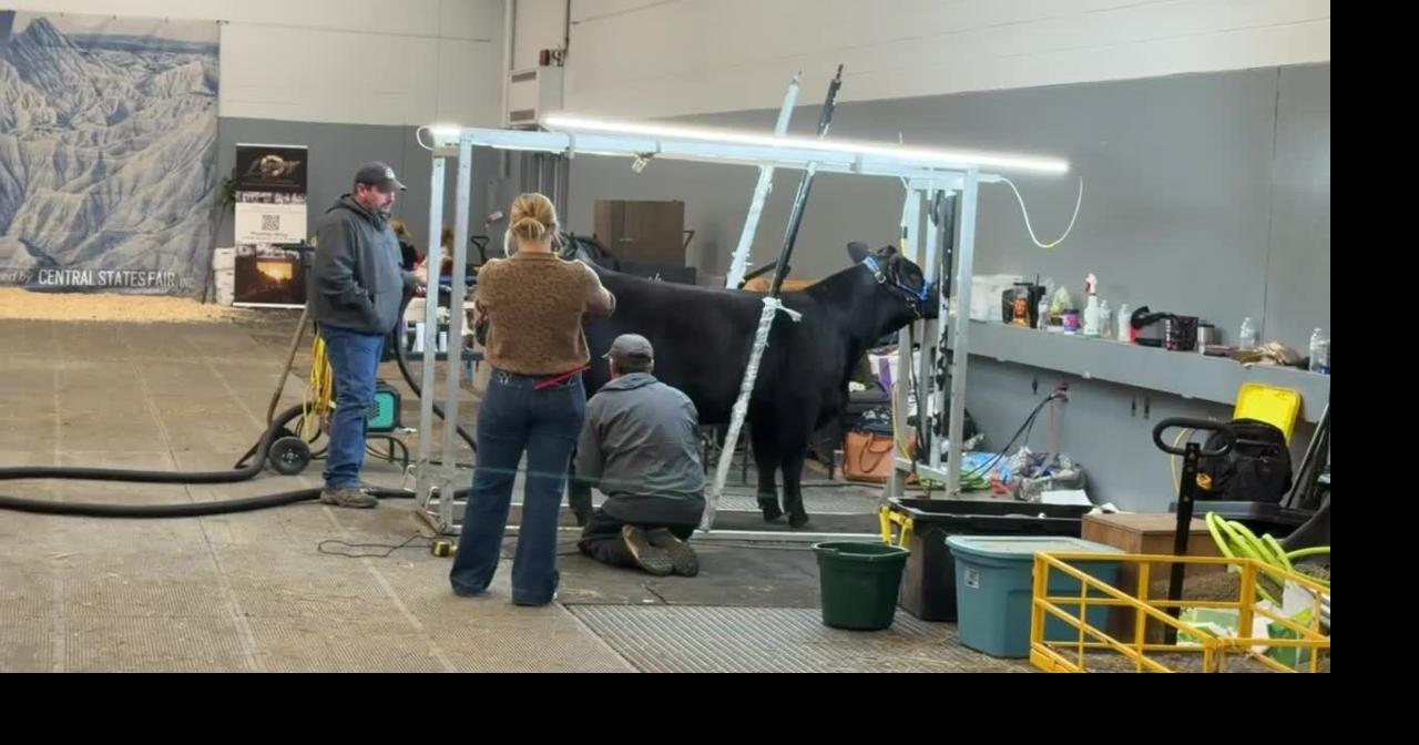 From instinct to evidence: Building connections matters most to women in South Dakota ag