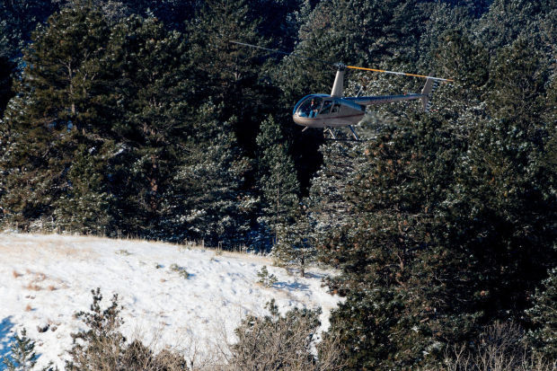 New mule deer survey improves population data