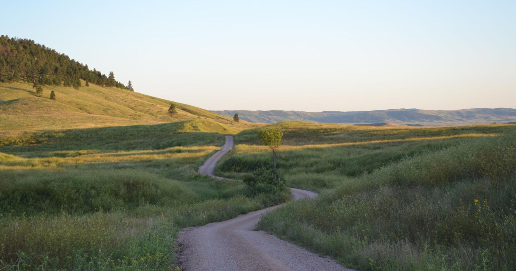 Backcountry road closing for maintenance at Wind Cave National Park - Vimarsana News