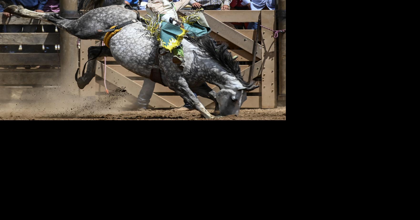 Kash Deal showcased strength of Faith bronc riders at Days of '76 Rodeo