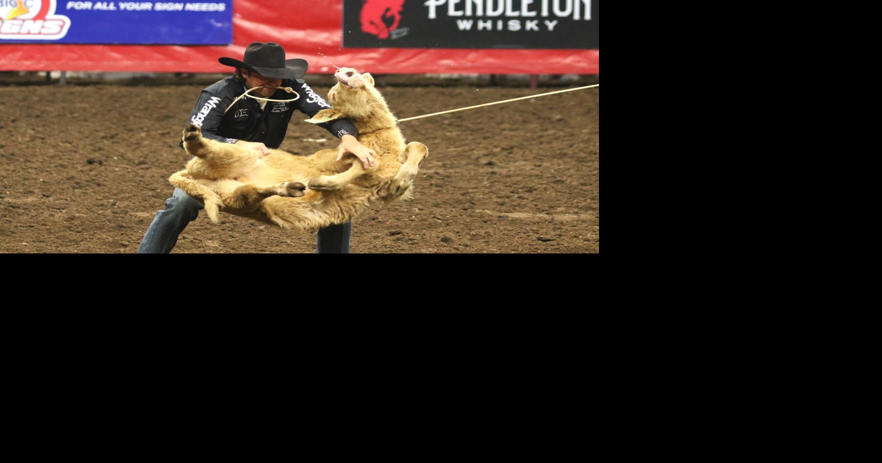 VIDEO PRCA Tie Down Roping Slack action