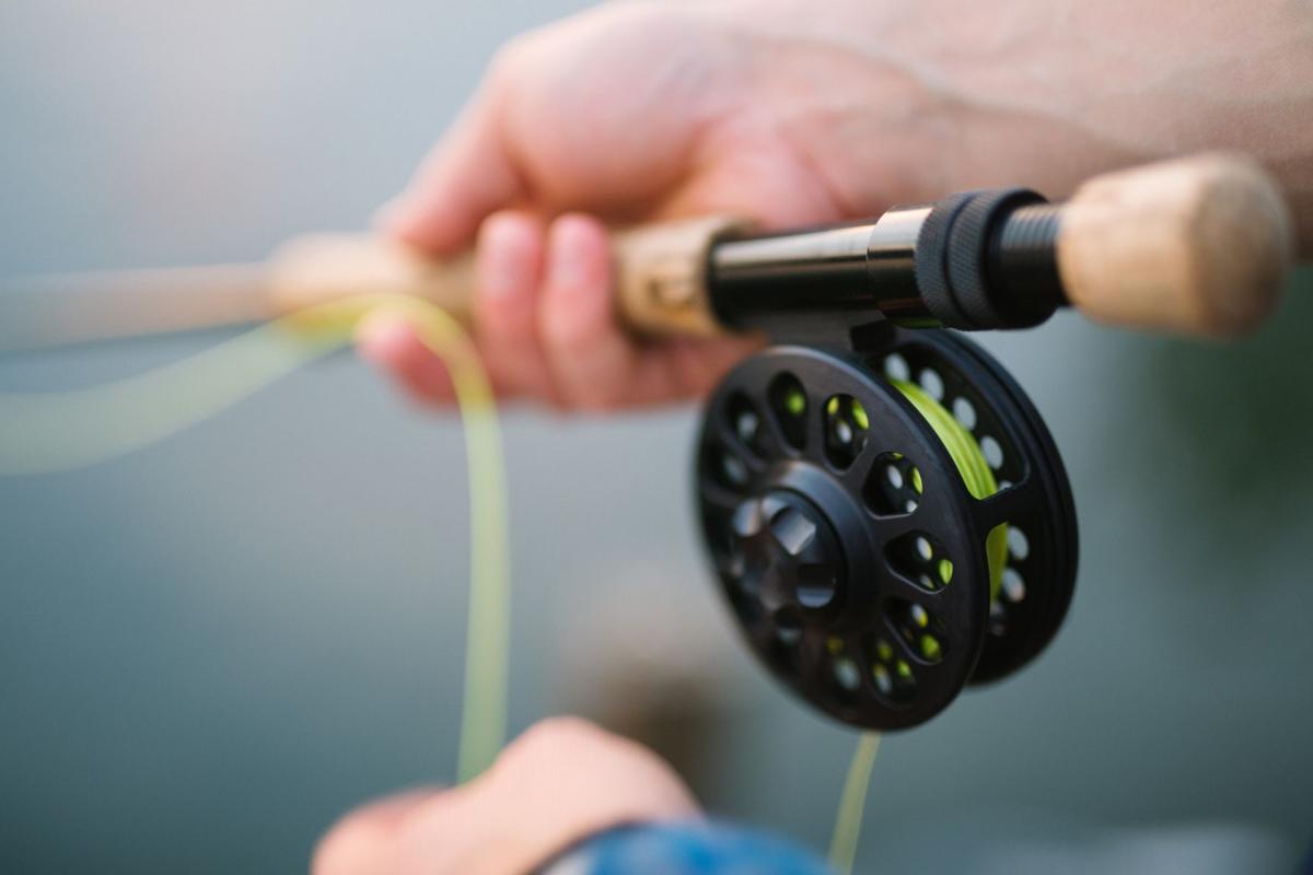 8. Catch a fish