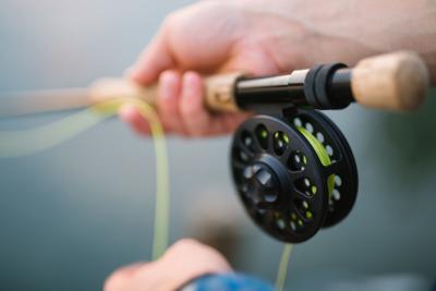 8. Catch a fish