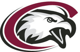 Eagle-208-Dark