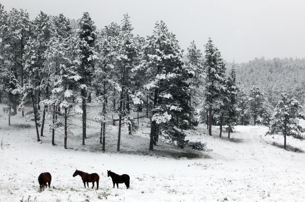 091214-nws-weather008.JPG
