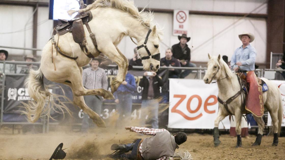Best of the 2016 Stock Show Photos Best of the 2016 Stock Show Photos
