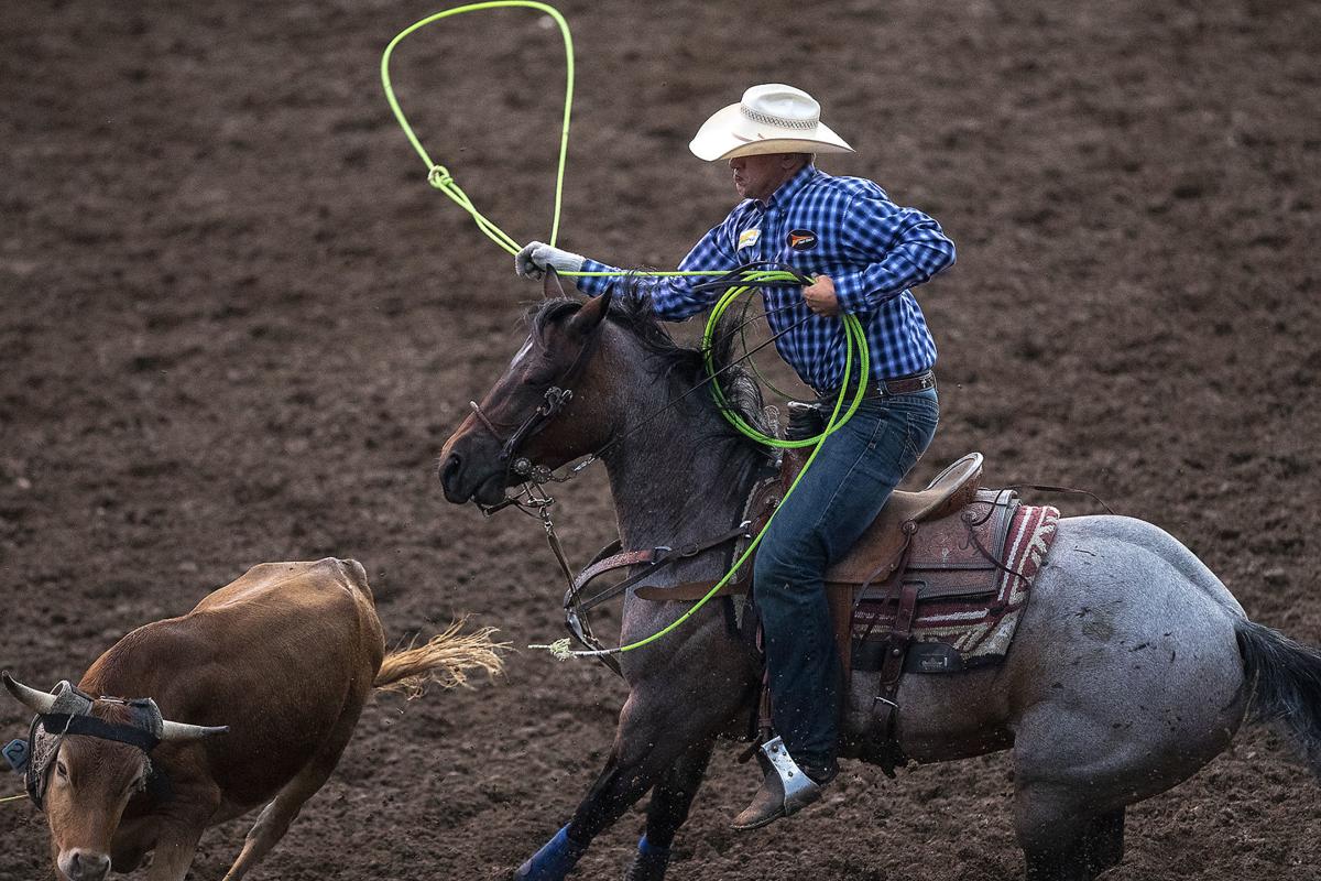 Black Hills Roundup is a Fourth of July rodeo tradition Sports